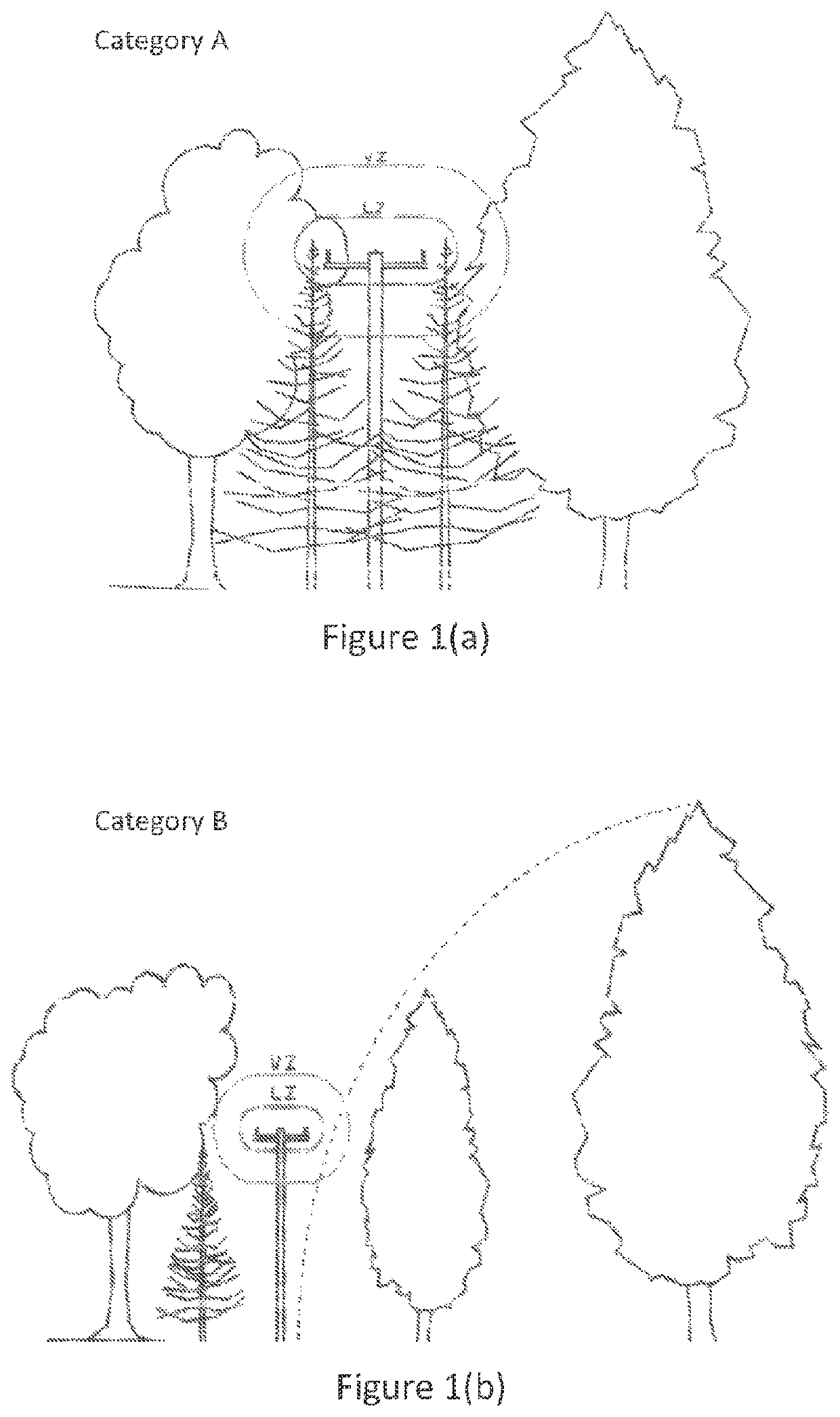 Vegetation categorisation