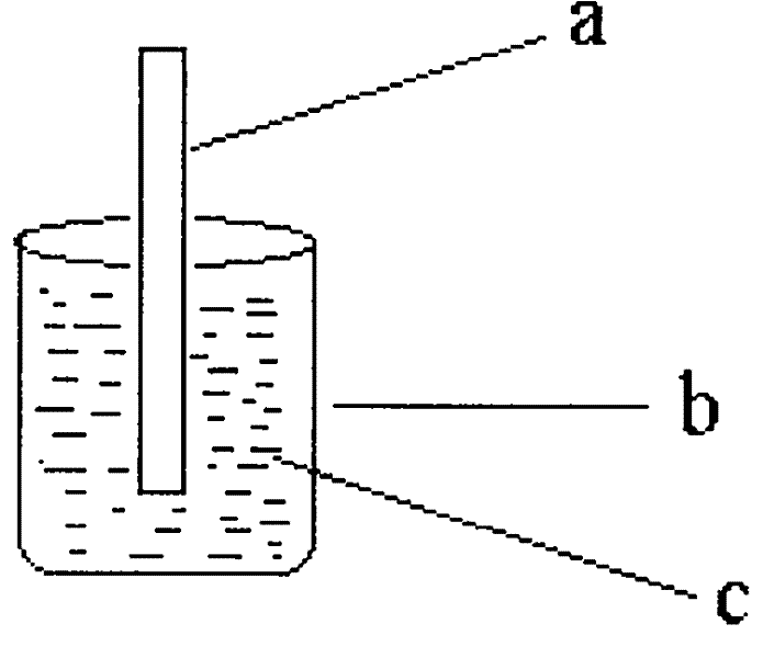 Protein collection and enzymolysis integrated sample pretreatment apparatus and its production