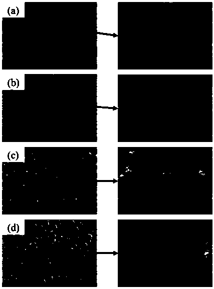 Femtosecond laser precision removal method for thermal barrier coating of turbine blade