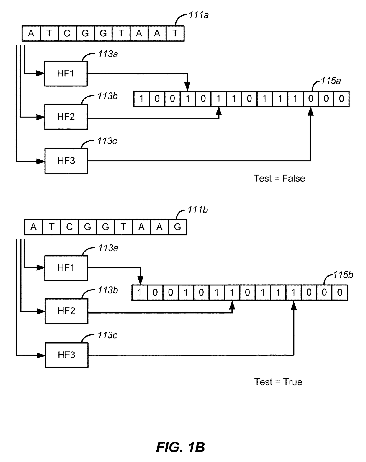 Set membership testers for aligning nucleic acid samples