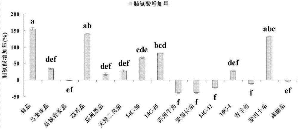 Method for rapidly identifying salt tolerance of eggplants