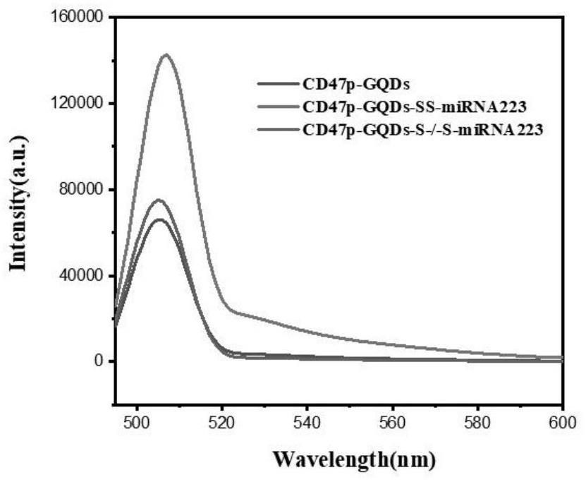 Immune cell therapeutic agent for atherosclerotic plaque as well as preparation method and application thereof