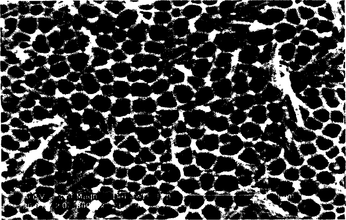 Nano holing method on surface of low-voltage anode foil for aluminium electrolytic capacitor