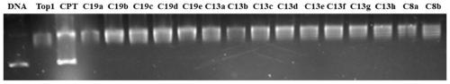 Multi-targeted anti-tumor activity evodiamine derivative and preparation method and application thereof