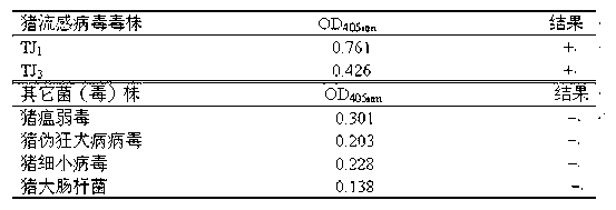 Nucleic acid sequence-based amplification-enzyme-linked immunosorbent assay (NASBA-ELISA) kit for type A swine influenza viruses