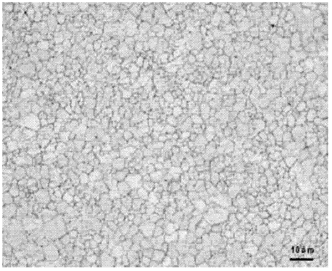 Method for manufacturing magnesium alloy thin plate