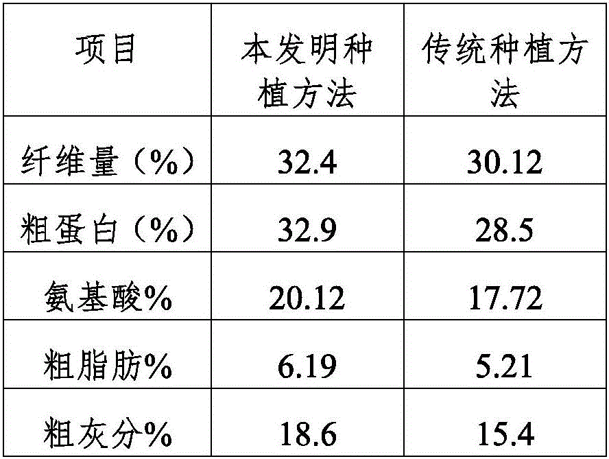 Efficient planting method of broussonetia papyrifera