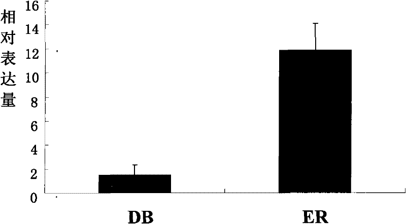 Genetic marker by taking pig miR-27a precursor flanking sequence SNP as trait of litter size of pig and application