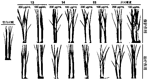 Thiapyran[4,3-b] indole compound and preparing method and application thereof