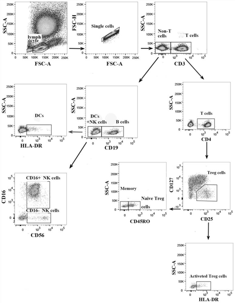 Group of tumor diagnosis markers, and application thereof