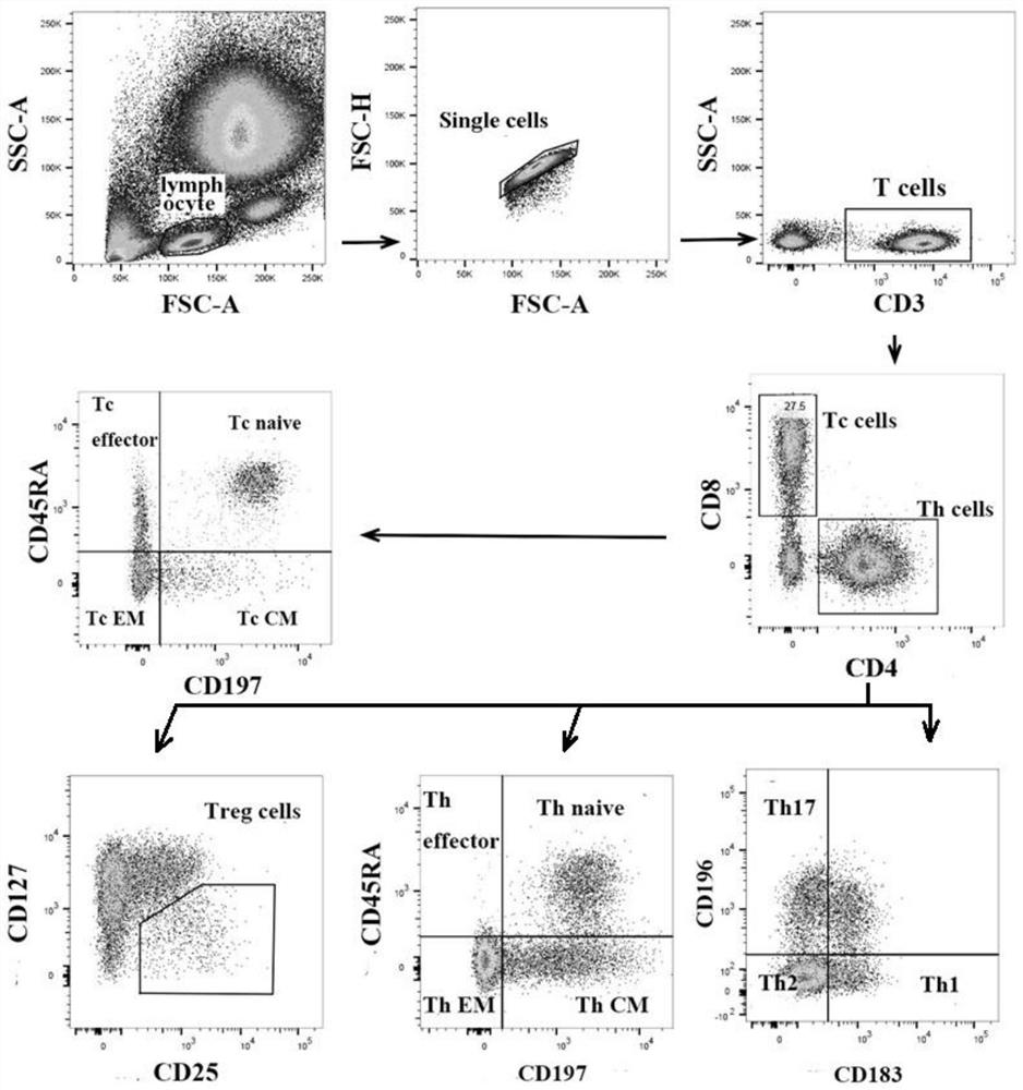 Group of tumor diagnosis markers, and application thereof