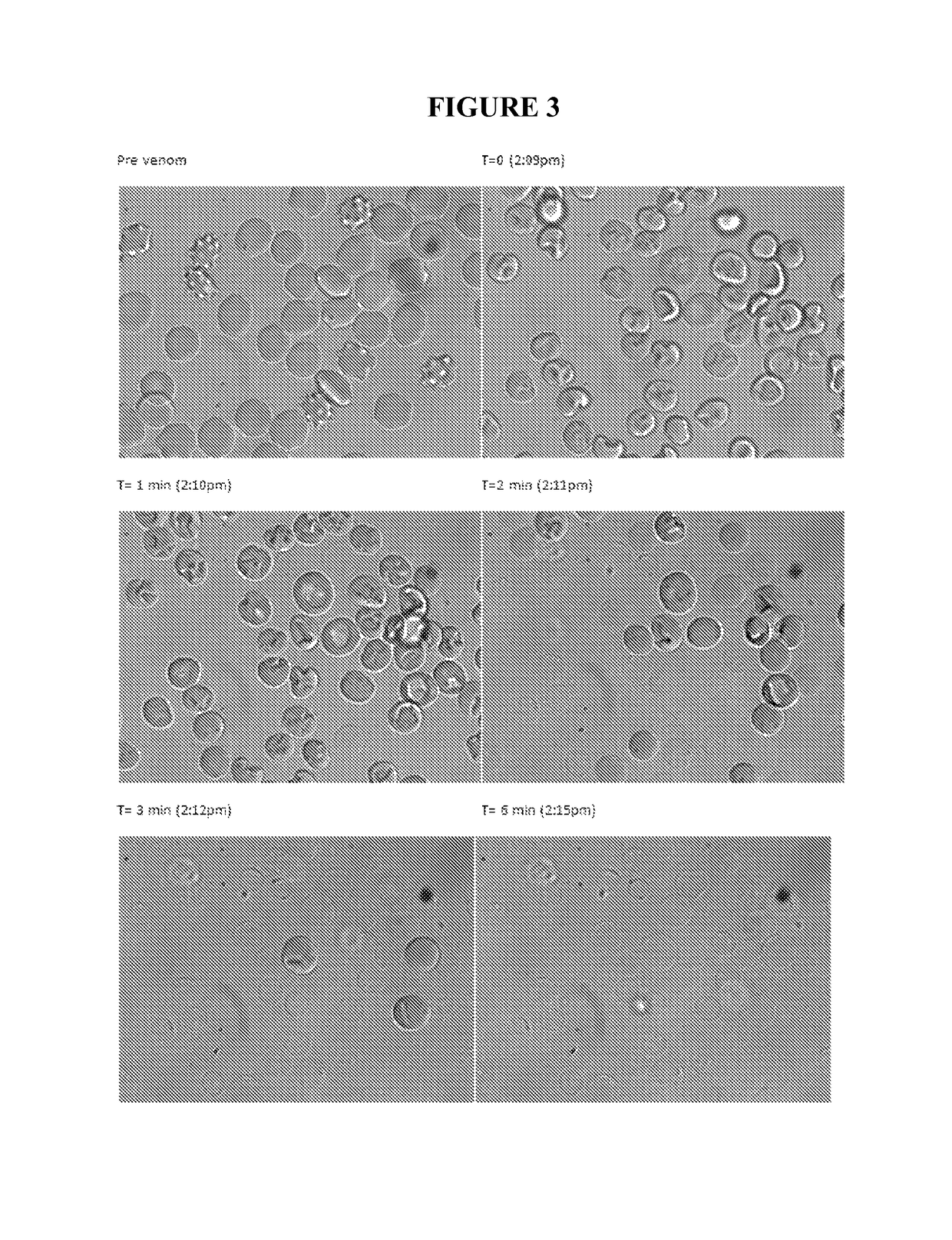 Methods and compositions for treating and/or inhibiting toxins using copper-containing compounds