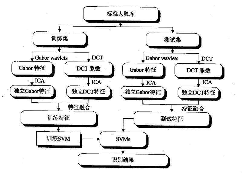 Human face identification method based on independent characteristic fusion