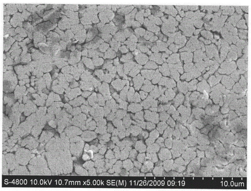 Method for preparing inoculant for refining as-cast structure of spring steel and application method thereof