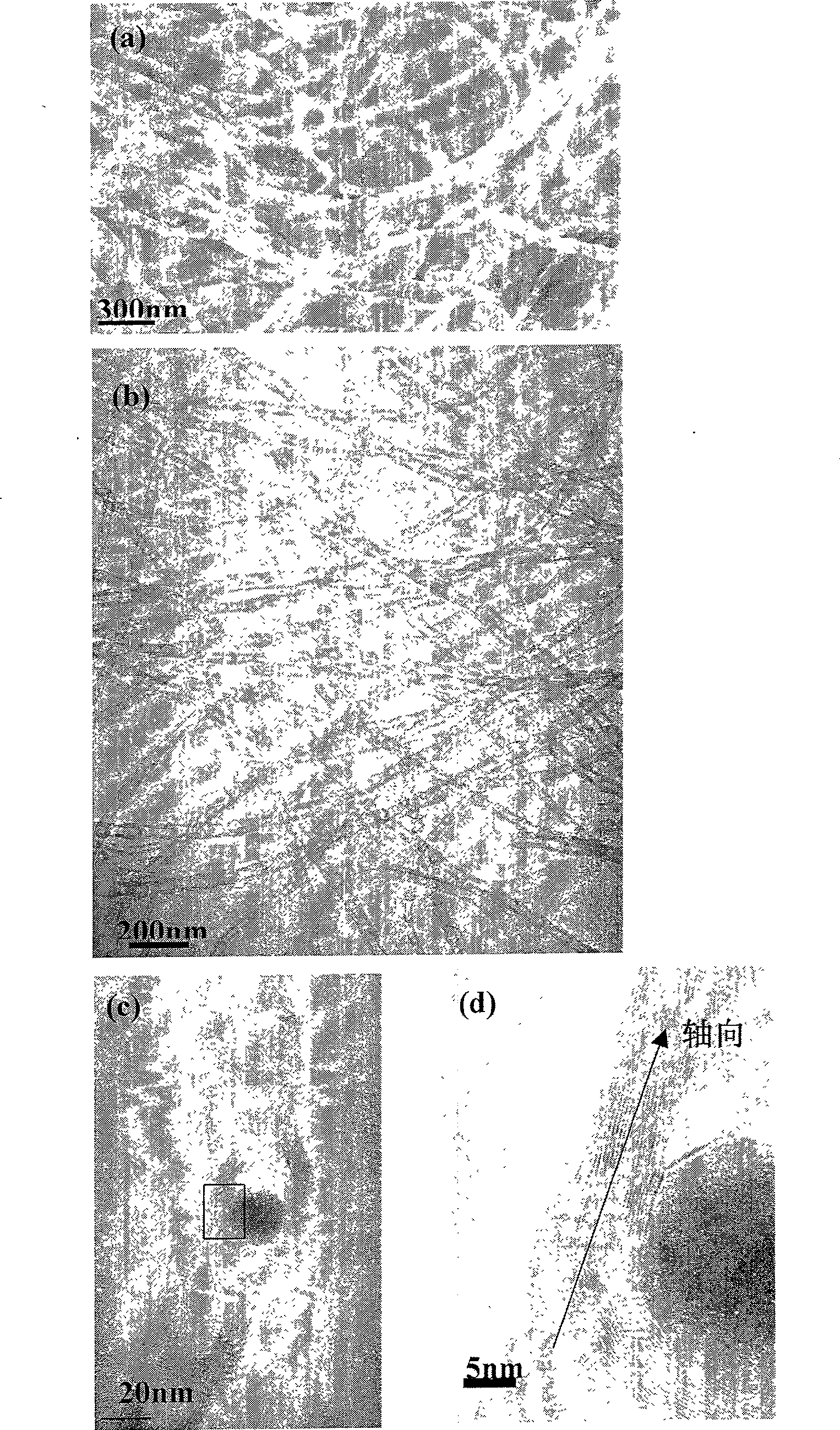 Preparation method of quasi one-dimensional boron nitride nanostructure