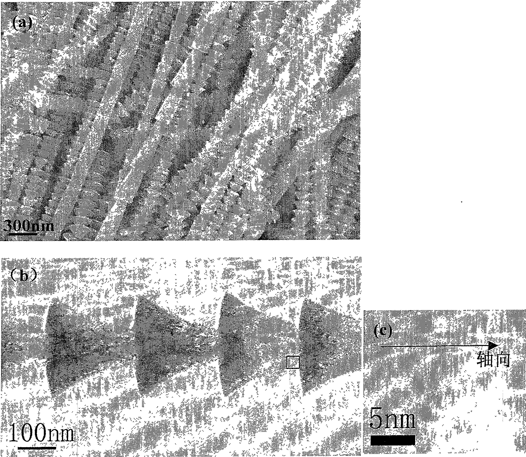 Preparation method of quasi one-dimensional boron nitride nanostructure