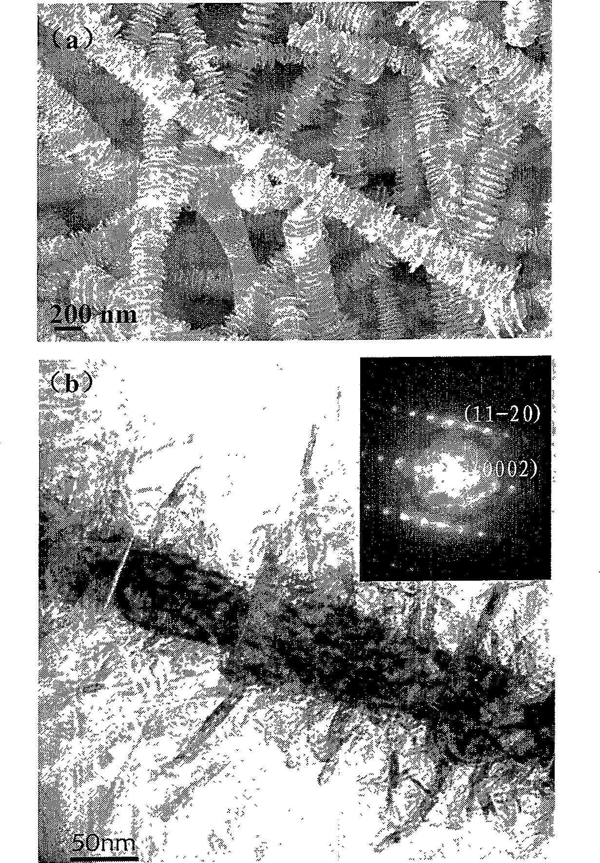 Preparation method of quasi one-dimensional boron nitride nanostructure