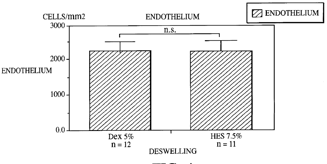 Agent for dehydrating corneas in organ culture