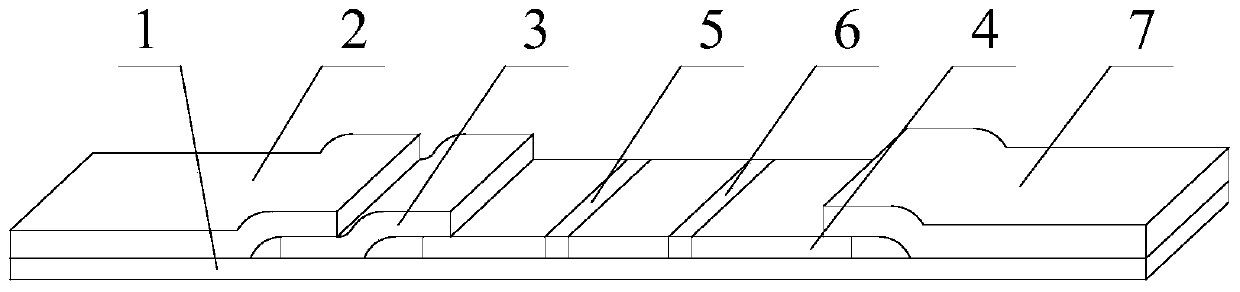 Detection test paper for detecting brucella antibody