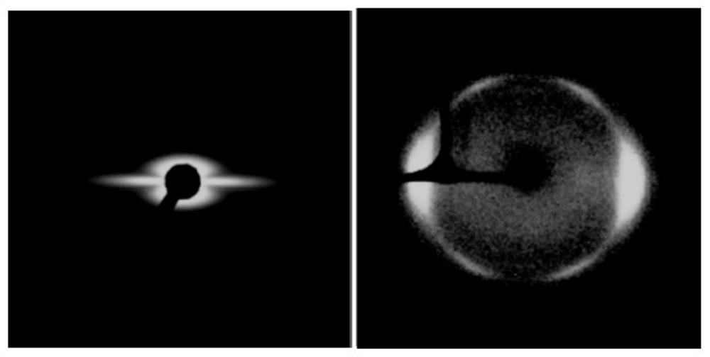 Highly oriented cellulose airgel and its preparation method