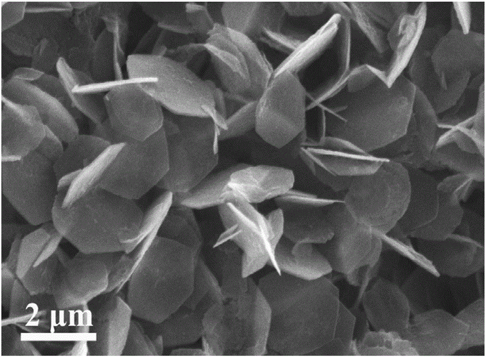 Three-dimensional nitrogen-doped capsule-shaped carbon paper electrode material and preparation method thereof