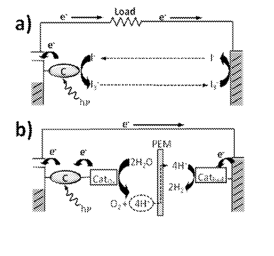 Molecular Assemblies and Multilayer Films for Photocurrent and Catalysis