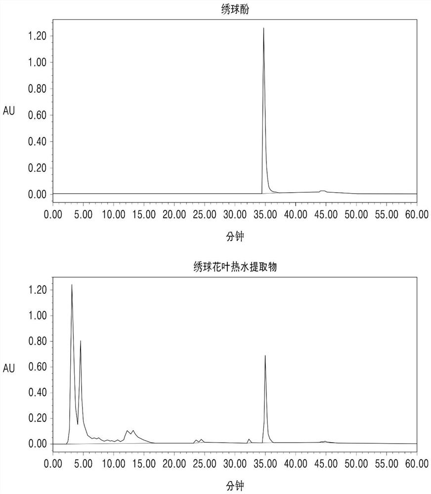 Composition for fat formation inhibition and body fat reduction, containing hydrangenol as active ingredient