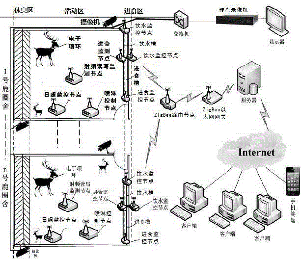 RFID intelligent monitoring system for deer cultivation based on the Internet of Things