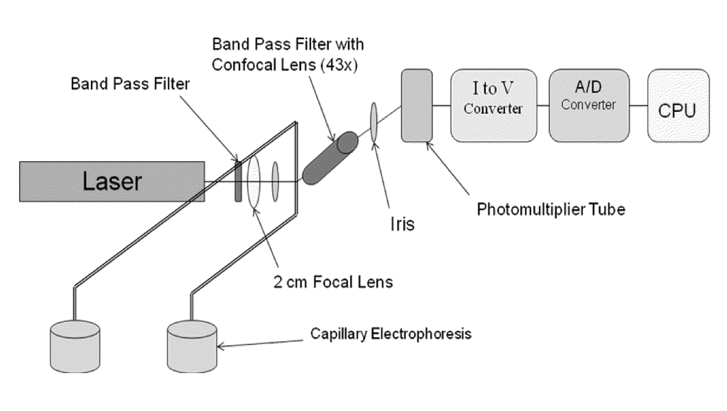 Method and apparatus for cancer screening