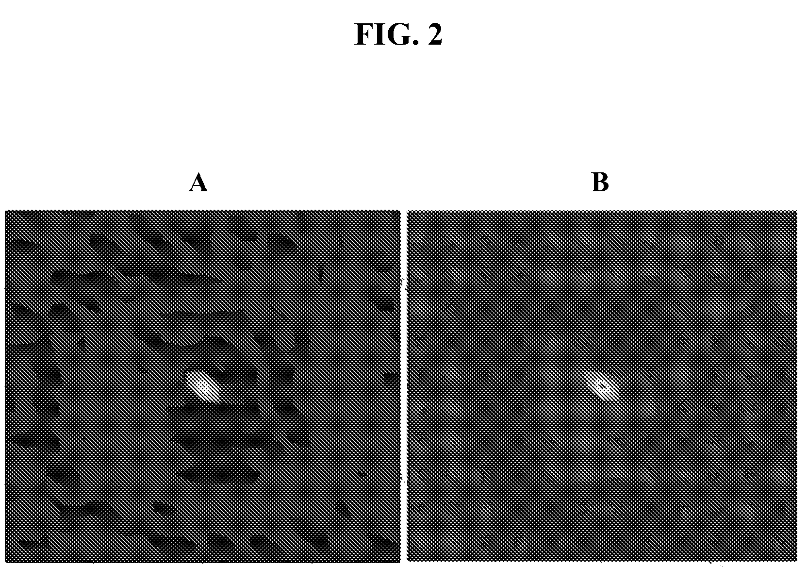 Methods and apparatus for rapid scanning continuous wave terahertz spectroscopy and imaging