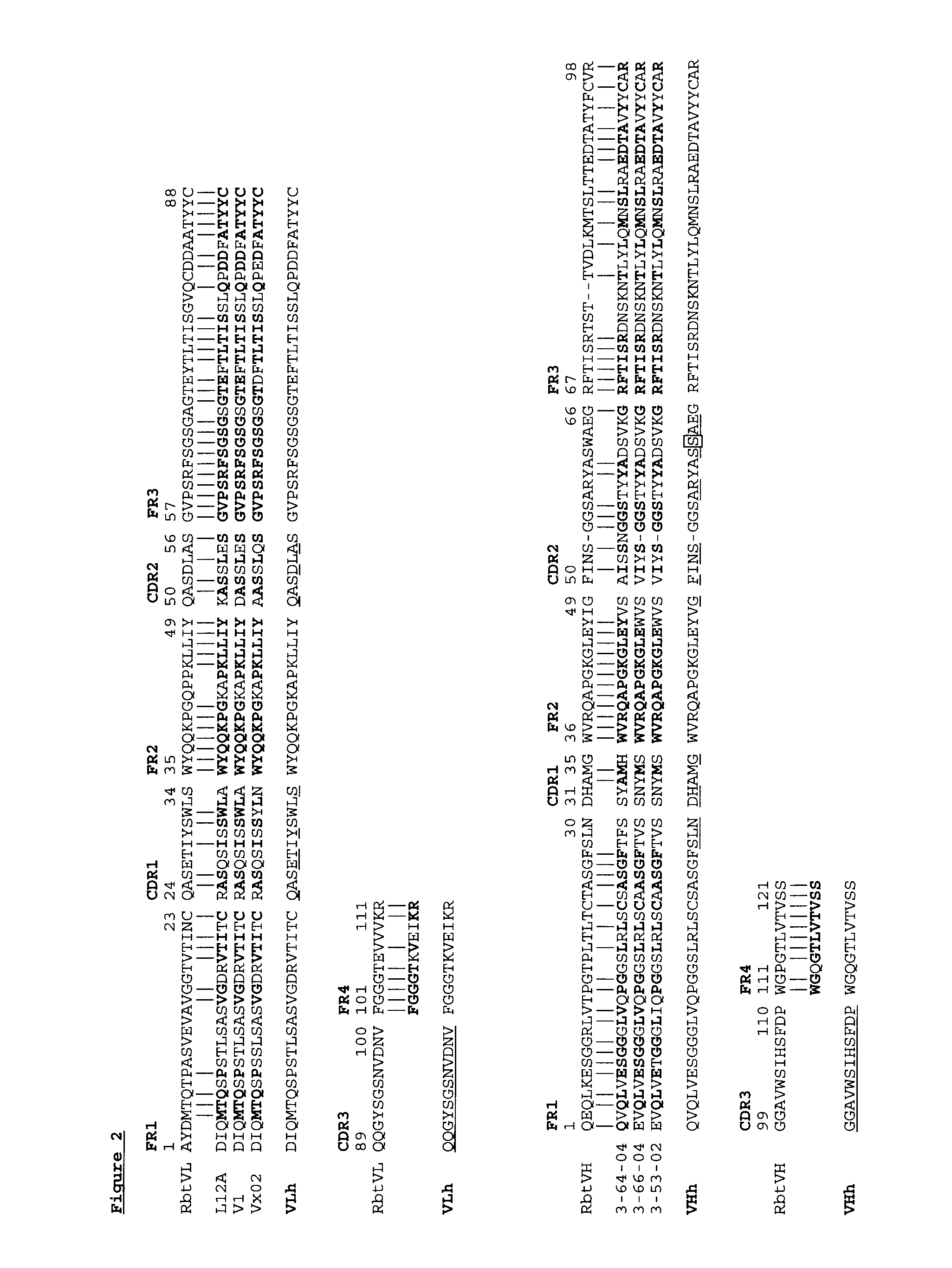 Novel rabbit antibody humanization methods and humanized rabbit antibodies