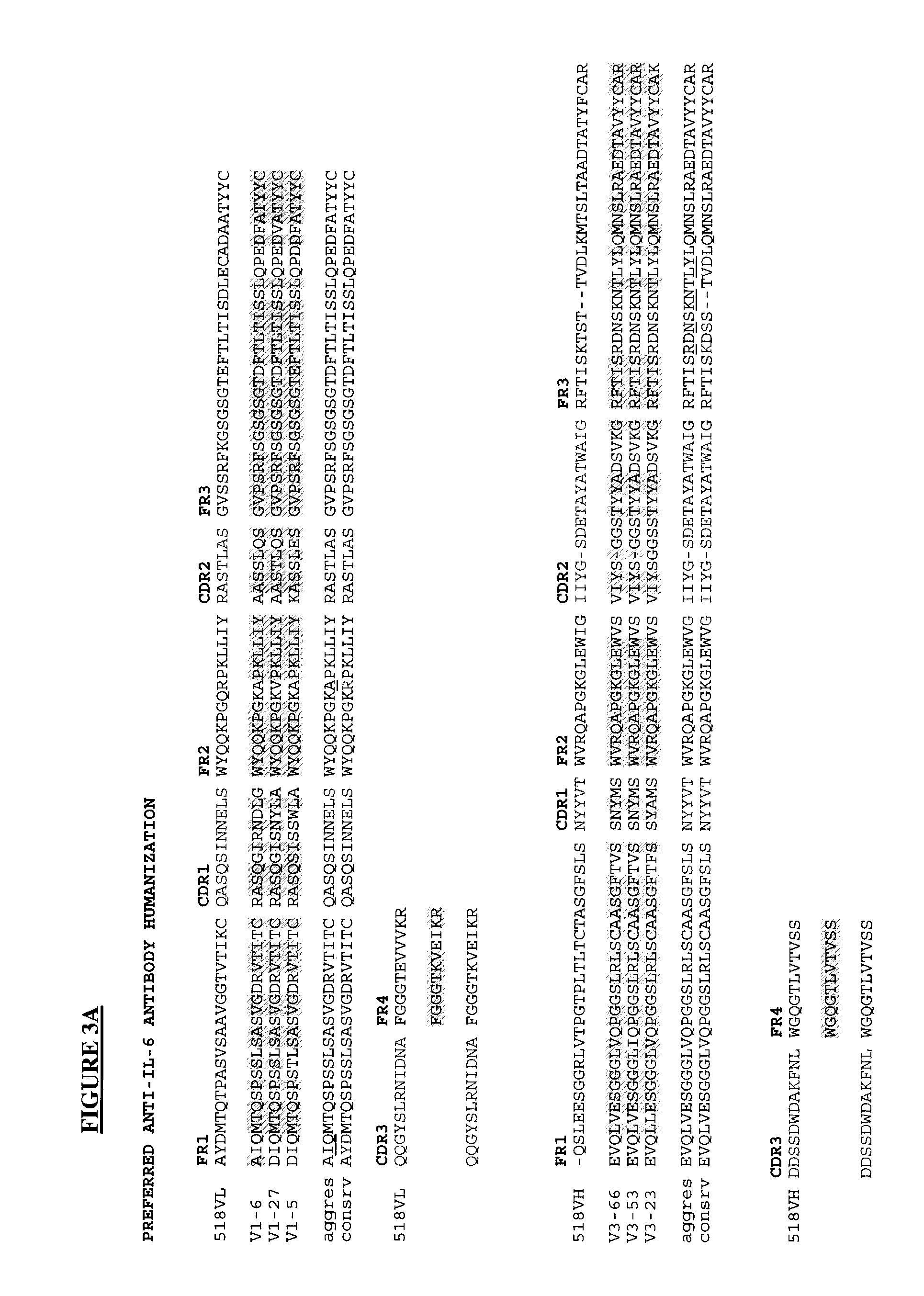 Novel rabbit antibody humanization methods and humanized rabbit antibodies