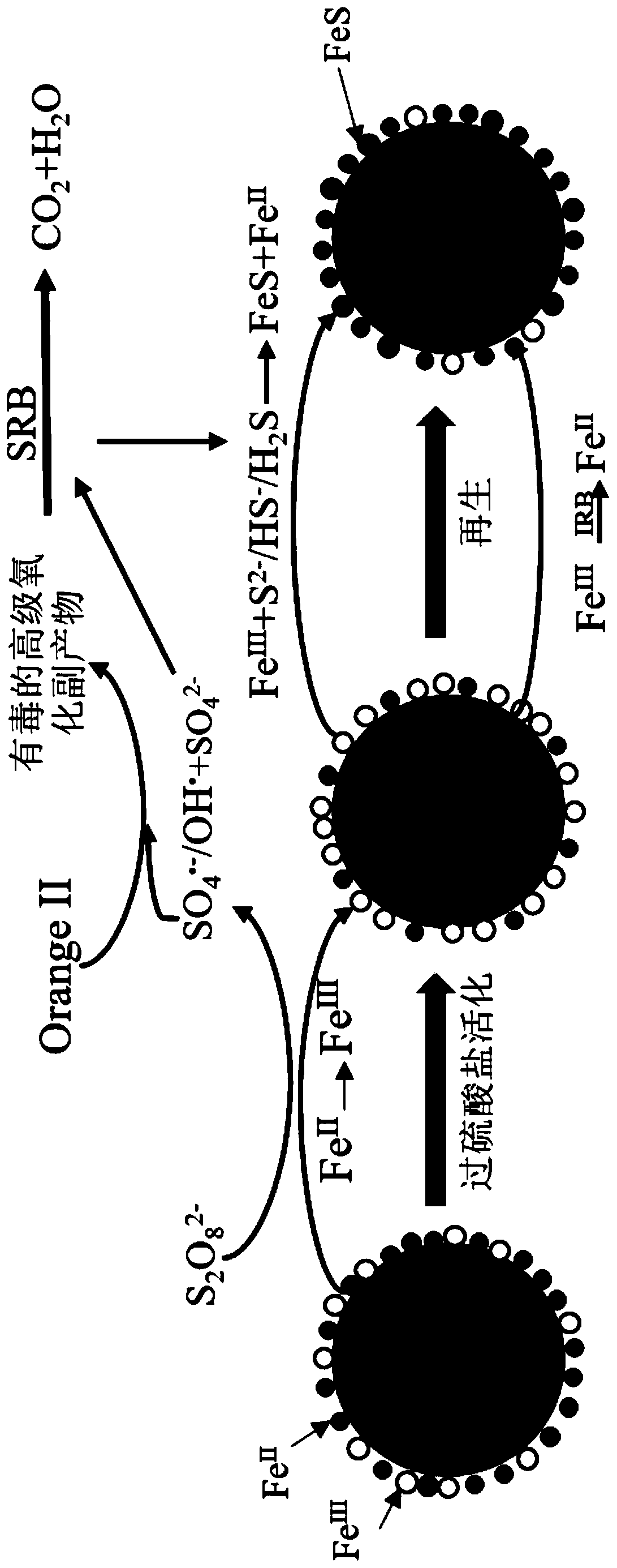 Method for treating wastewater by coupling advanced oxidation of persulfate and biological sulfate reduction