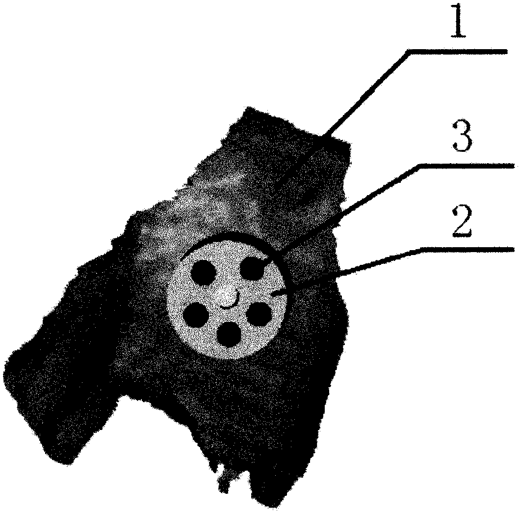 Preparation and testing method of a three-dimensional decompression device for avascular necrosis of the femoral head