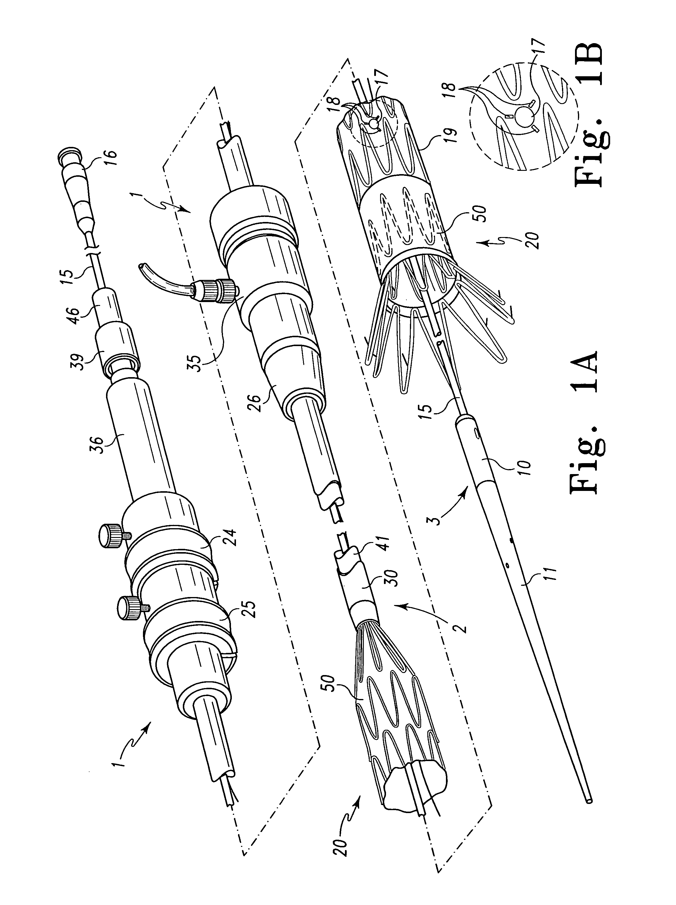 Fenestrated endoluminal stent system