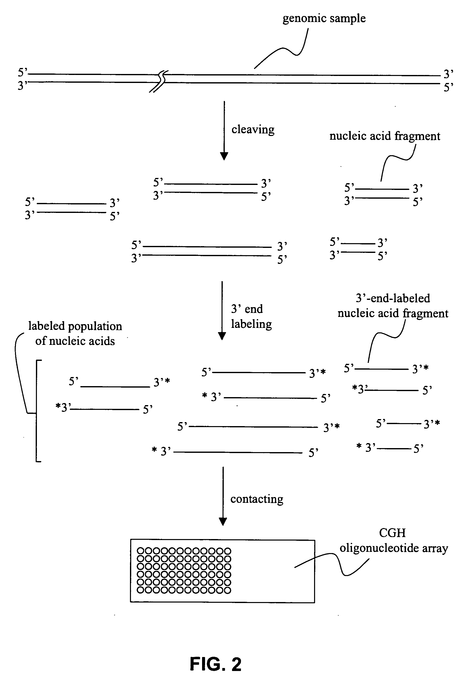 Methods and compositions for reducing label variation in array-based comparative genome hybridization assays