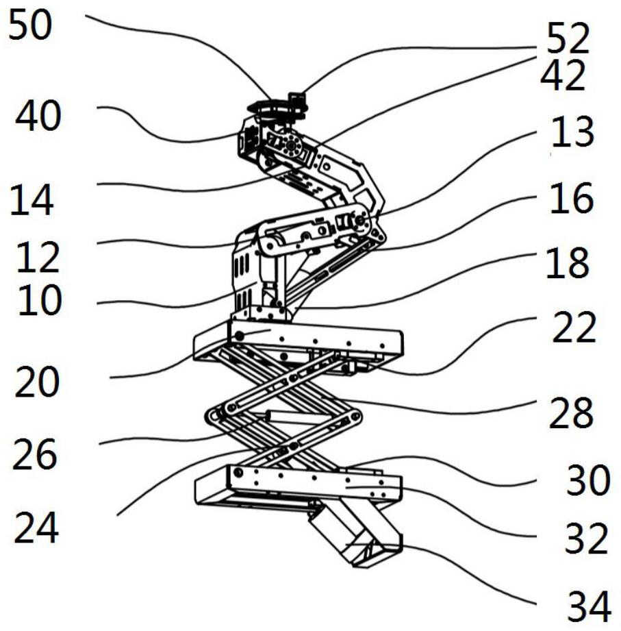 Robot head and neck structure and robot