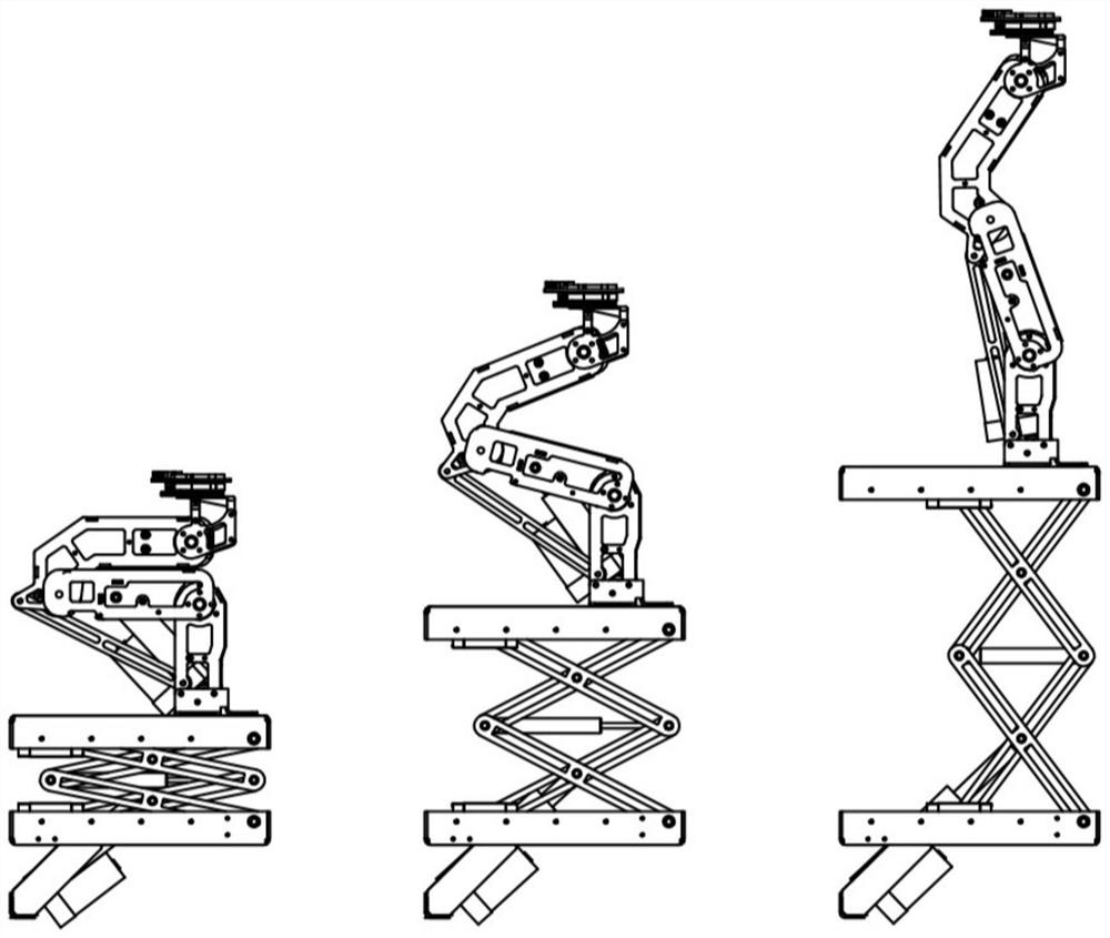 Robot head and neck structure and robot