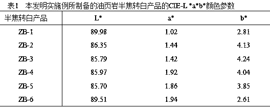 Method for converting black oil shale semi-coke into white product