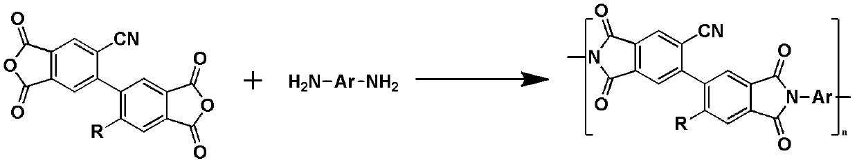 Modified biphenyl type dianhydride intermediate containing cyano side chain and synthesis method and application thereof