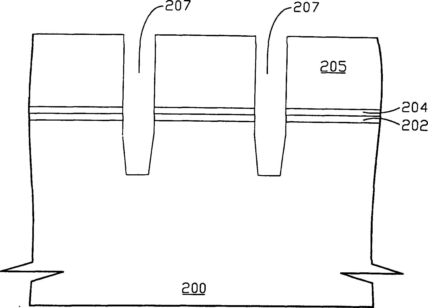 Hood curtain type read-only storage capable of storing multi order information