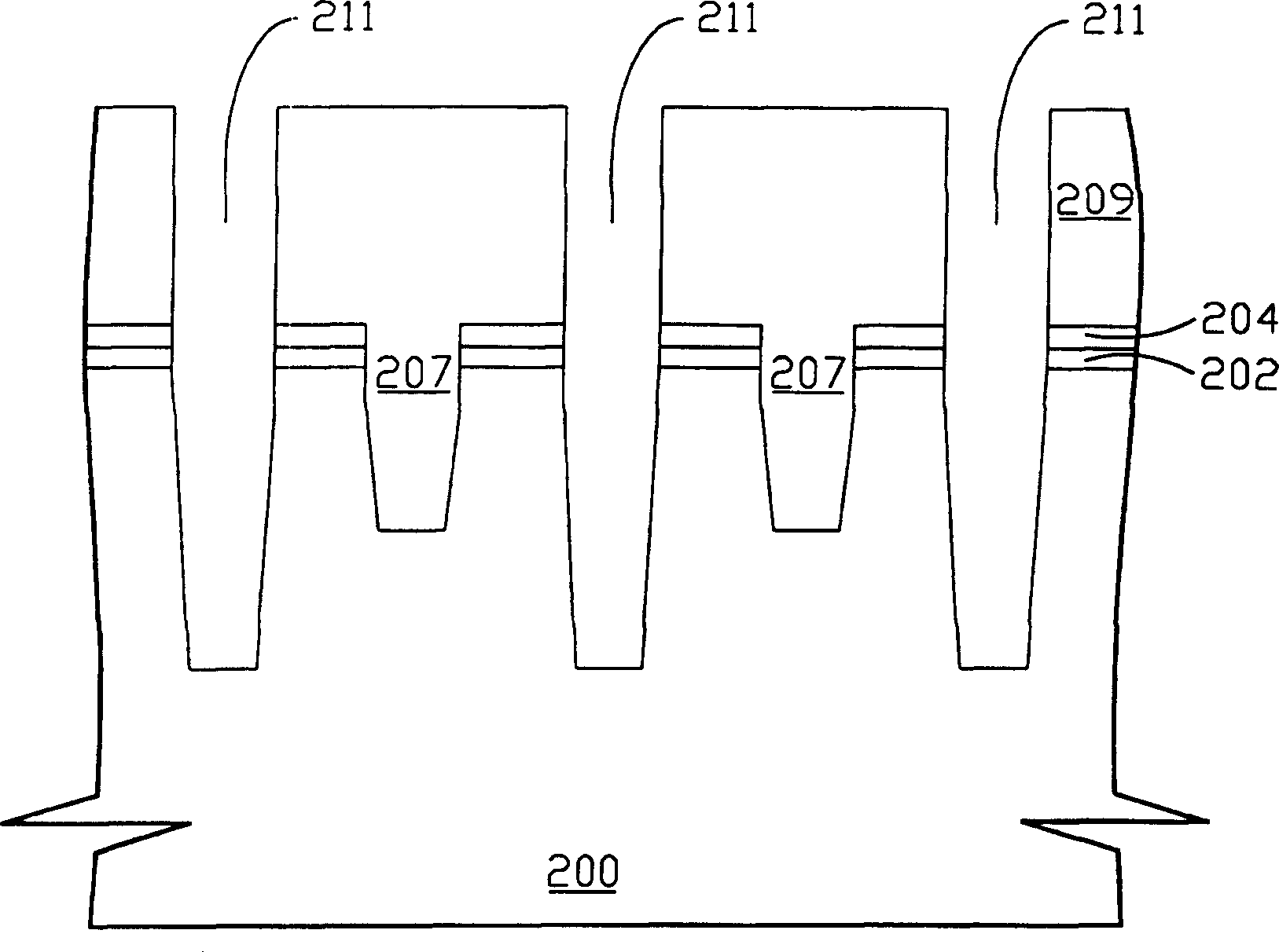 Hood curtain type read-only storage capable of storing multi order information