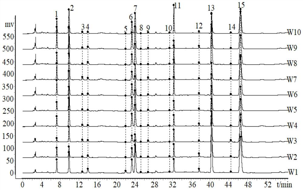 Rhizoma drynariae crude product and UPLC fingerprint spectrum construction and identification method thereof