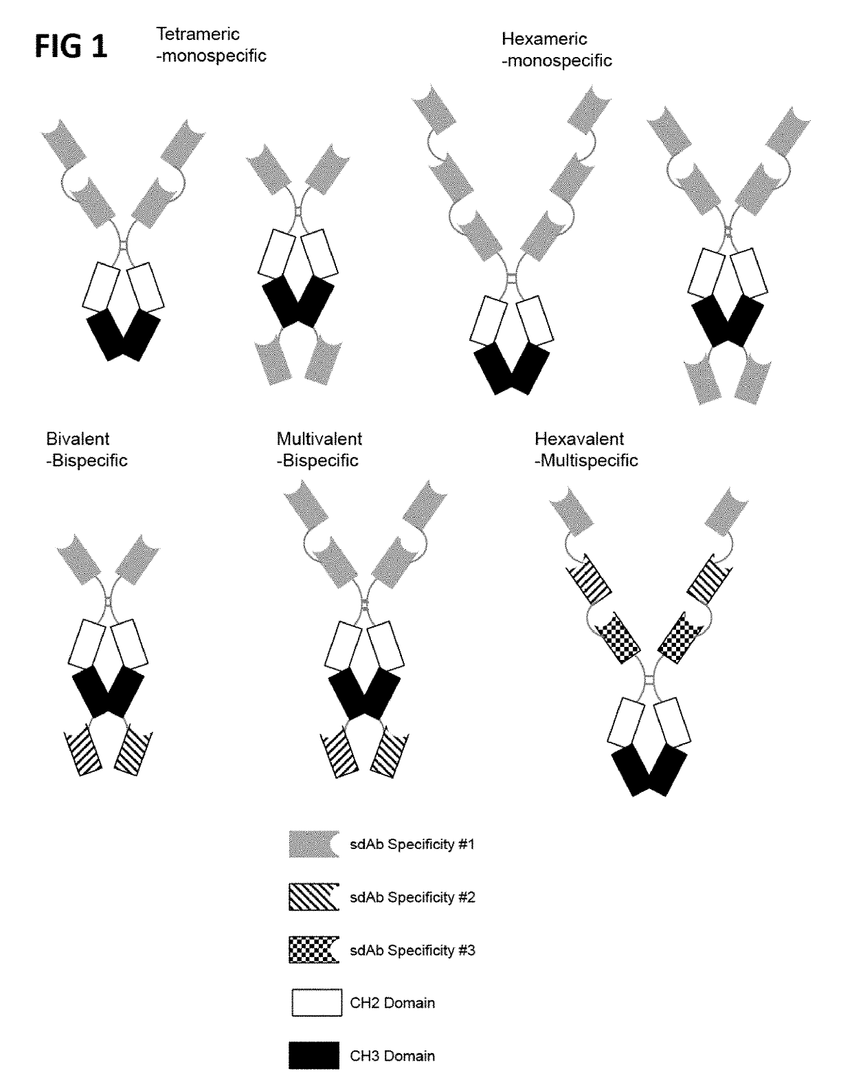 Multivalent and multispecific gitr-binding fusion proteins