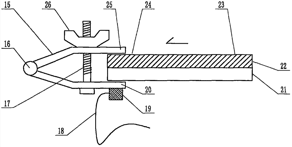 Cholera diagnosis multi-channel chip device utilizing PDMS substrate