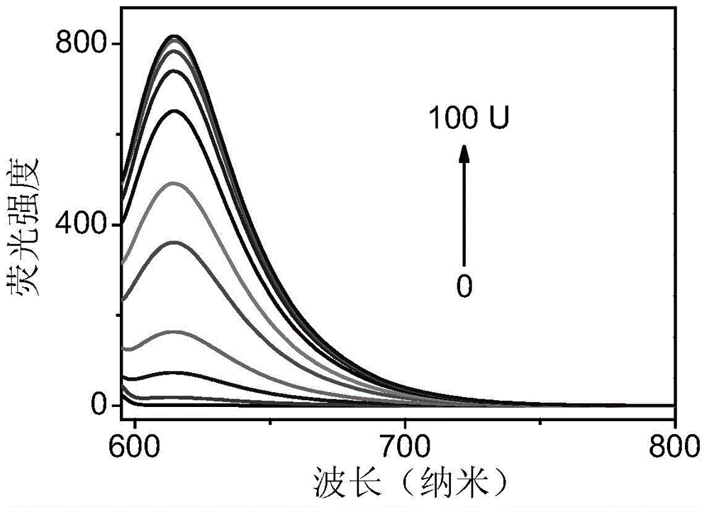 Fluorescent probe for detecting gamma-glutamyl transpeptidase as well as preparation method and application of fluorescent probe