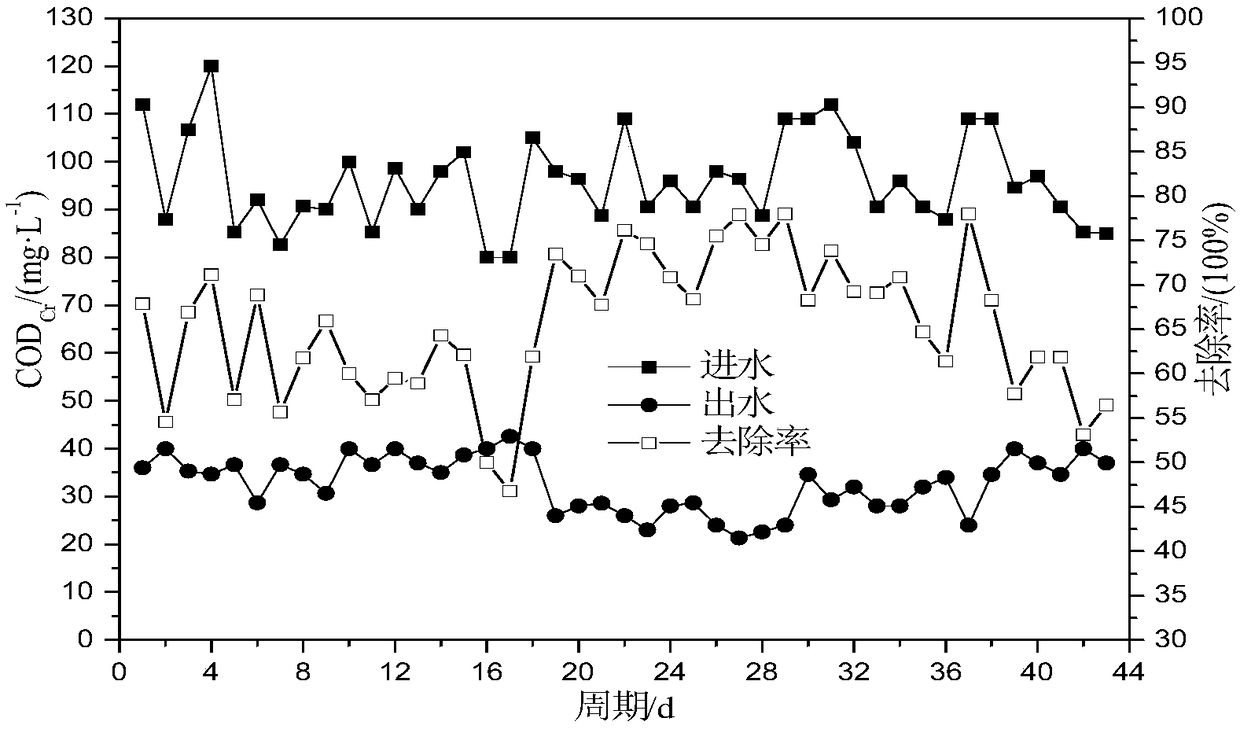 Method for treating sewage with low carbon nitrogen ratio