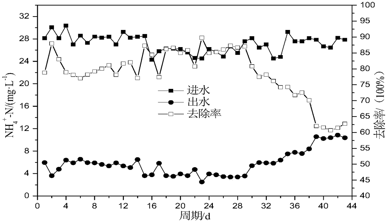 Method for treating sewage with low carbon nitrogen ratio