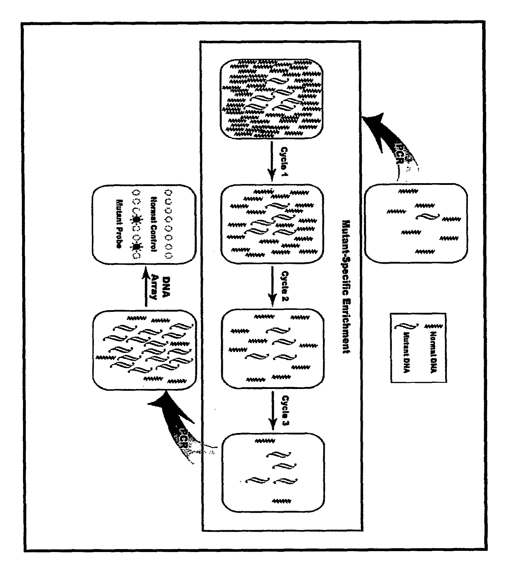 Methods for identifying multiple DNA alteration markers in a large background of wild-type DNA