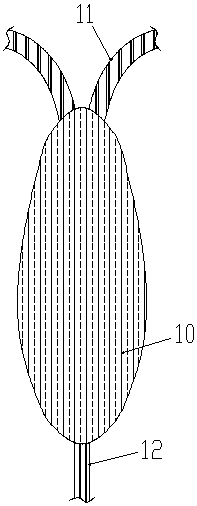 Surgical postoperative auxiliary exercise device